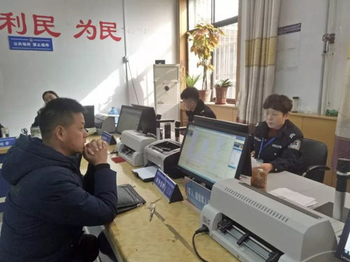 便民利企新舉措 石家莊交管服務(wù)窗口實行6天工作制，北京信息技術(shù)咨詢服務(wù)同步升級